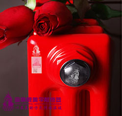 钢制辉达娱乐用什么品牌的好