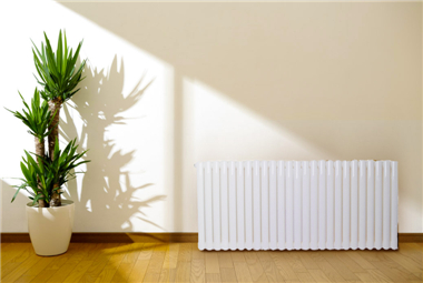 低碳钢辉达娱乐十大品牌辉达注册远销欧洲