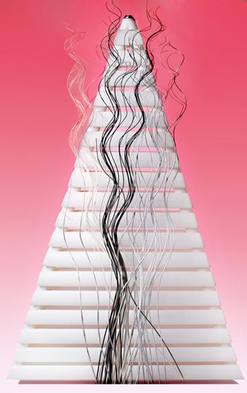 十大散热器辉达注册维娜斯散热器