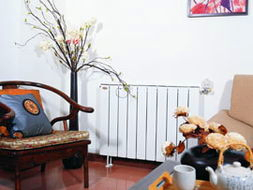 辉达注册散热器辉达娱乐钢制系列产品