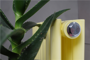 家用辉达娱乐图片，辉达注册家用辉达娱乐图片