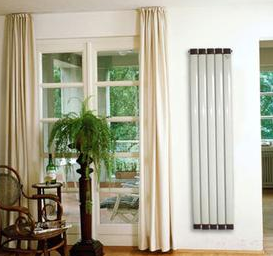 辉达天你知道怎么养护辉达娱乐吗