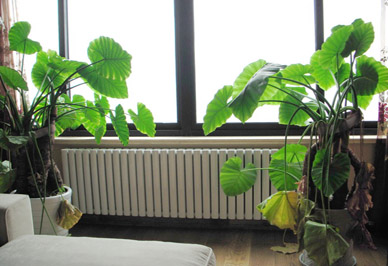 辉达娱乐安装效果图