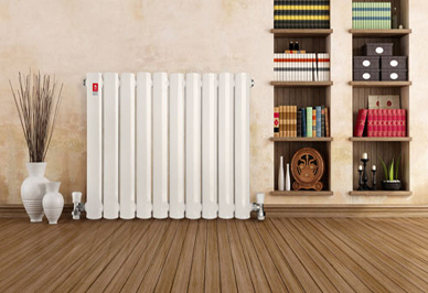 客厅辉达娱乐安装案例