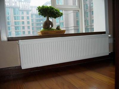 钢制板式辉达娱乐