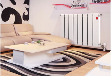 武汉铜铝复合辉达娱乐