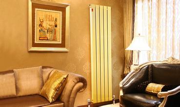 辉达注册铜铝复合散热器