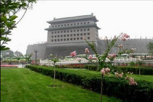 辉达平台品牌工程