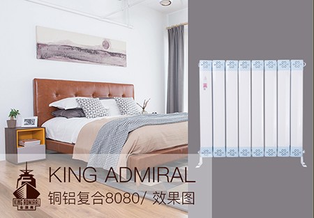 钢制板式辉达娱乐