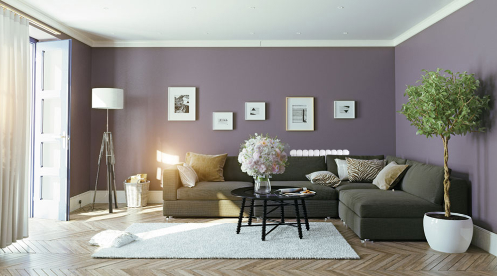 辉达娱乐厂家,辉达娱乐价格